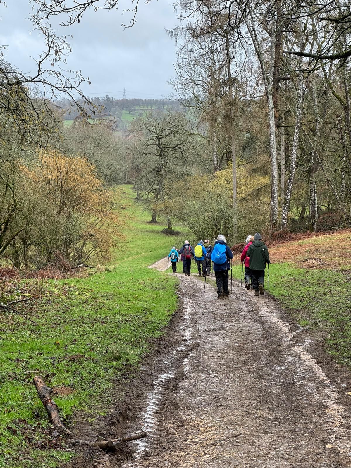 Cotswold walking